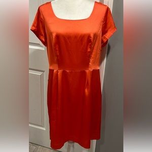 Brand new The Limited Dress